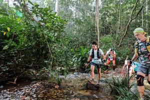 BIB: 
                            <button type="button" onclick="openModal(22349199)" class="btn btn-primary btn-sm float-right btn-popup" data-toggle="modal" data-target=".modal-high-quality">
                        <i class="fas fa-shopping-cart"></i> Add to Cart
                    </button>
                                            <button type="button" onclick="isThisMe(22349199, true)" class="btn btn-success btn-sm float-right btn-popup btn-isme hidden" data-toggle="tooltip" data-placement="bottom" title="นี่คือรูปของคุณใช่ไหม คลิกที่นี่เพื่อเอาเข้าอัลบั้ม">
                        <i class="fas fa-plus"></i> Add to album
                    </button>
                    <button type="button" onclick="isThisMe(22349199, false)" class="btn btn-warning btn-sm float-right btn-popup btn-isnotme hidden">
                        <i class="fas fa-ban"></i> Remove from album
                    </button>